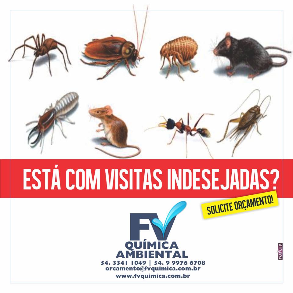 pragas pragas