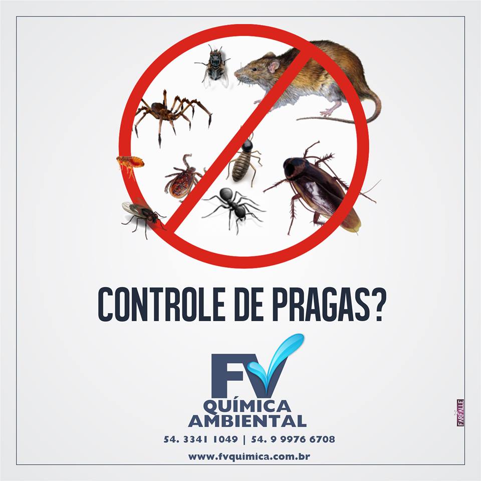 pragas2 pragas2